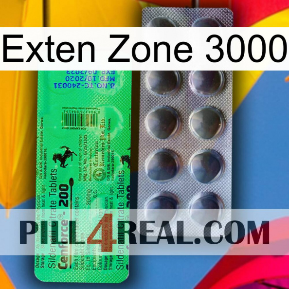 Exten Zone 3000 new04.jpg